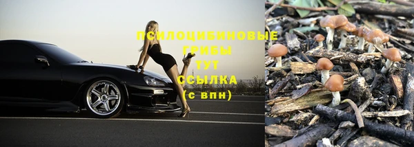 герыч Нефтекумск