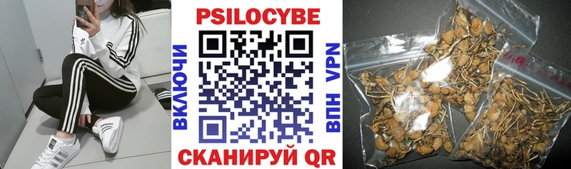 Галлюциногенные грибы мухоморы  наркотики  Тольятти 